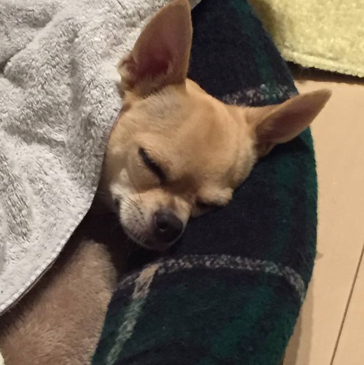 7be573a7 5894 41f6 aabb aa3dae9eafec