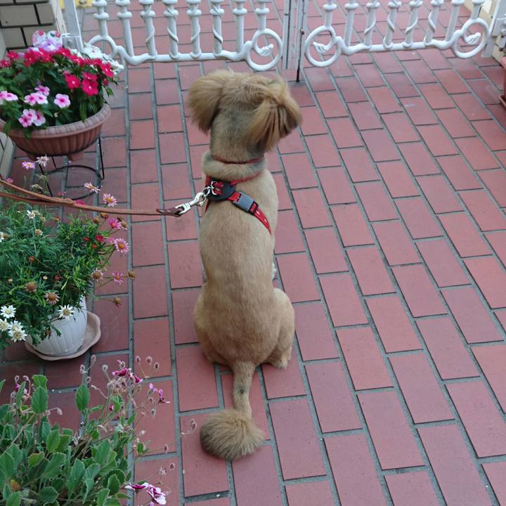 7be606a3 ee9f 4fc1 b89a d8f5158b65ed