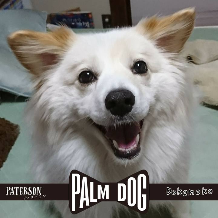 7be672fa 5447 4834 99a5 0cc2d15d957e