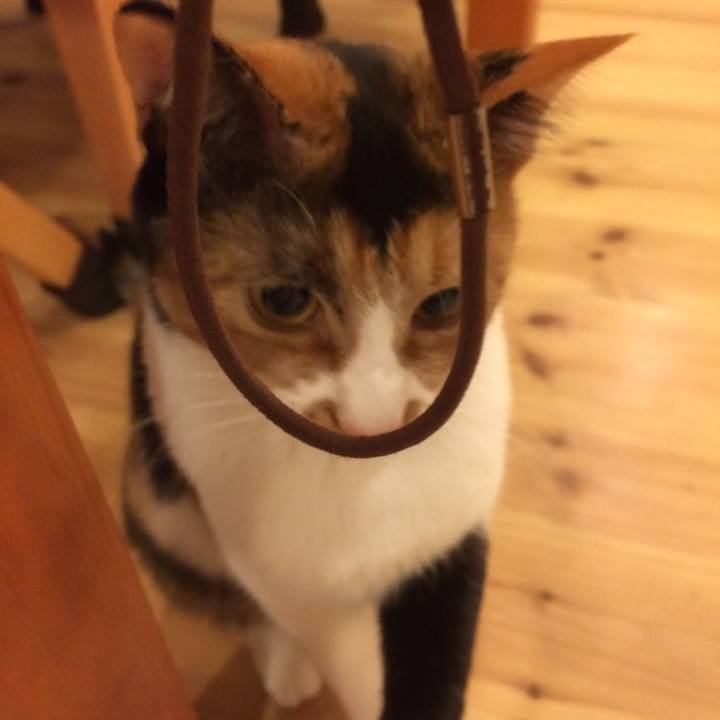 7be77750 cc7d 4712 a78a 6e31d83accfb