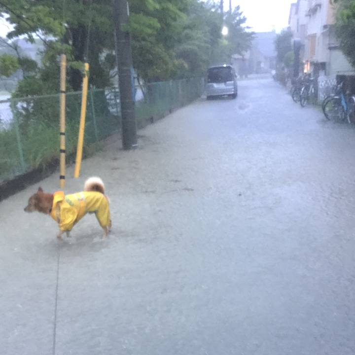 7be7f364 0324 457c 8973 39c88814cbed