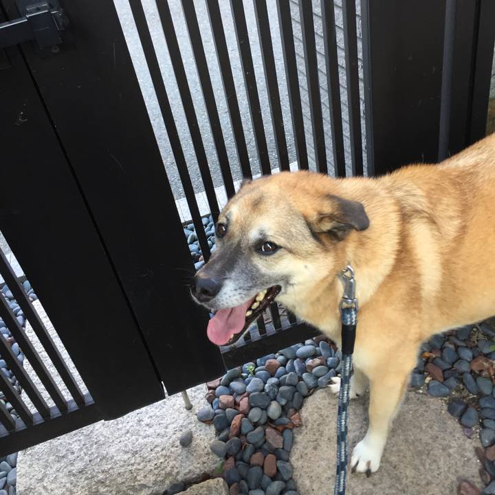 7be86c2f e57d 4fa9 8830 5416be6f81d5