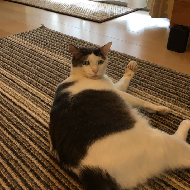 7be8c5fe fc58 4a7b a4cd be872ec8f86c