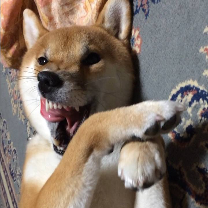 7be8cb10 b3d6 448a b3d0 a2b3b36f1281