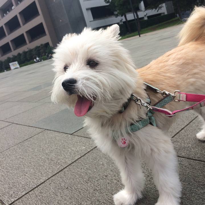 7be94df9 e12d 4b0d 9c79 6f797d9fd9a5