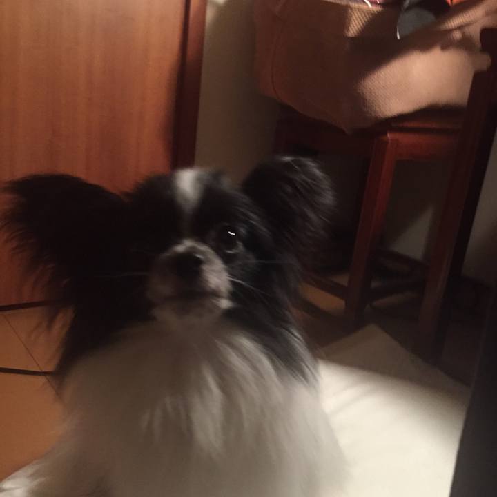 7be970cd 02e7 4b69 9c59 70f55a804e1b