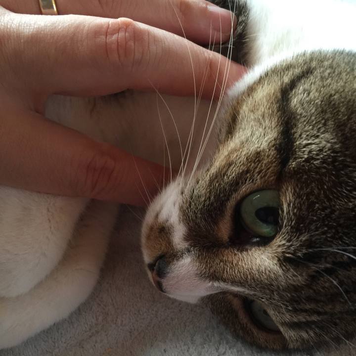 7be97204 0a6d 49e8 b53f 295c6462aacb