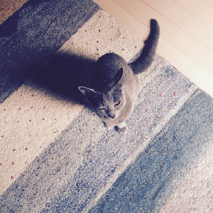 7bea5a01 899b 4bb4 90d4 d06938dfccbb