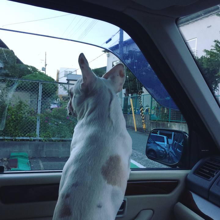 7bea5a5e 3528 4214 bae8 2cb25ce7aef3