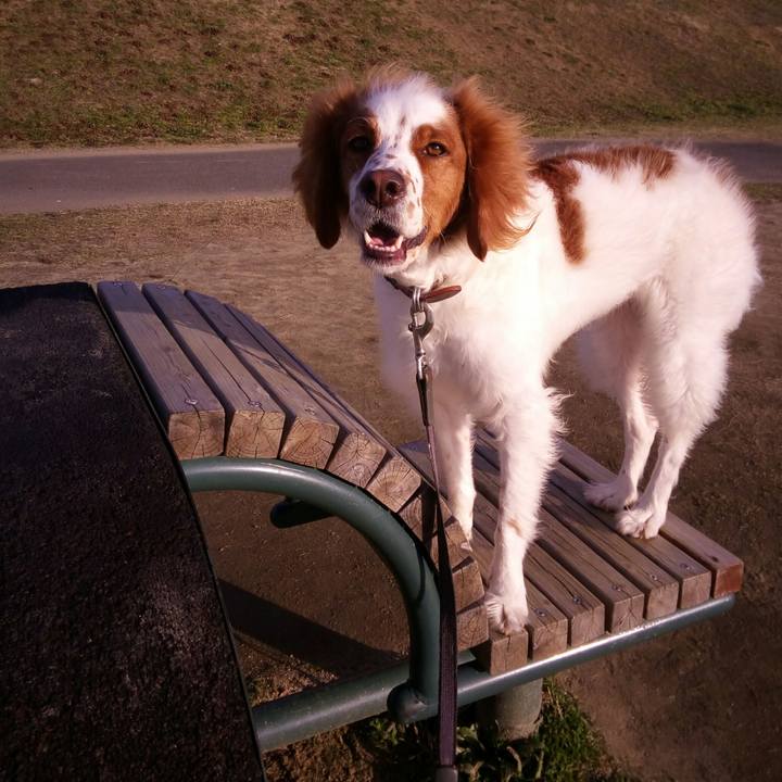 7beb0a26 ebc3 4daa 89b9 24bf5513887c