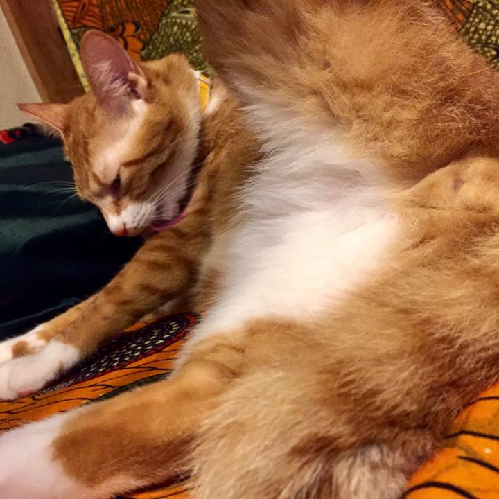 7beb6fe7 79e3 4f8e 9243 4cba3fd85700