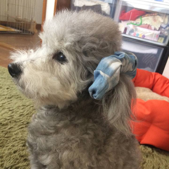 7bec2e61 8714 40d3 ba84 e8da7d374ab4