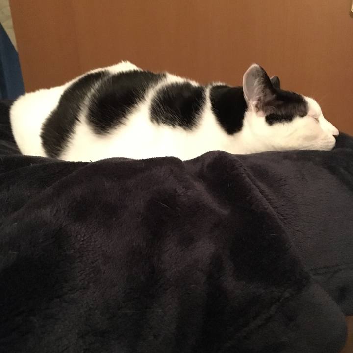 7bee2f8b 70e6 421a ad5c b76537677f31