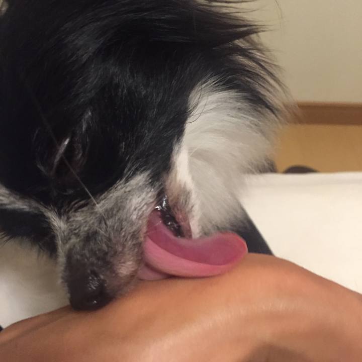 7bef2a3a ac4b 49de a427 8d2a0fb562b5