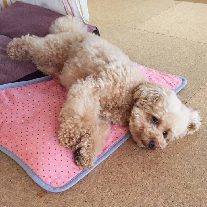 7bef4148 cb0d 4097 ba29 e4cad4cbf093