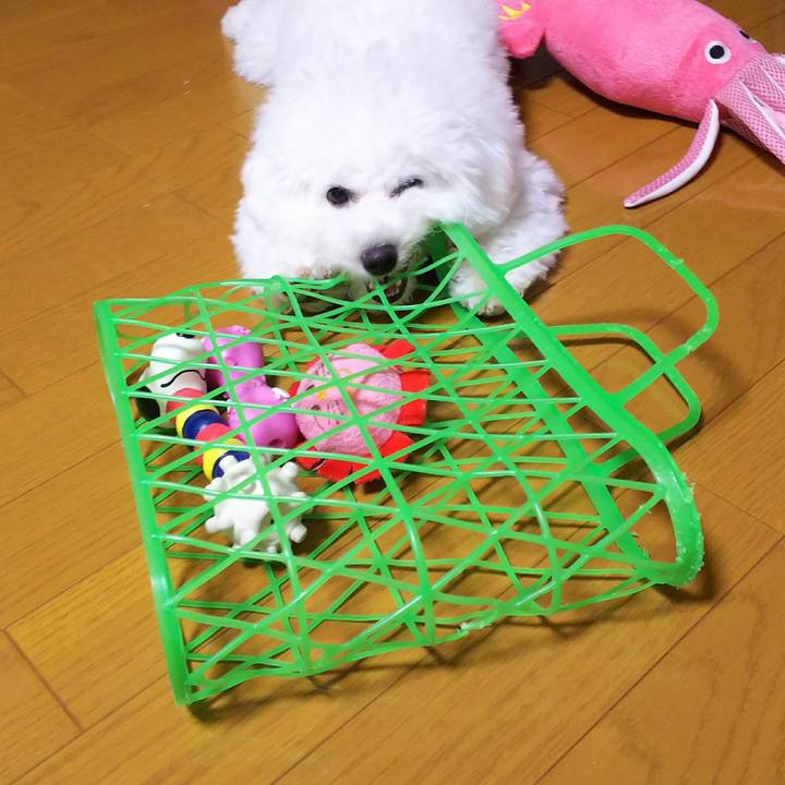 7bf044de 1bb1 416a 99fe fdd8ccf19229