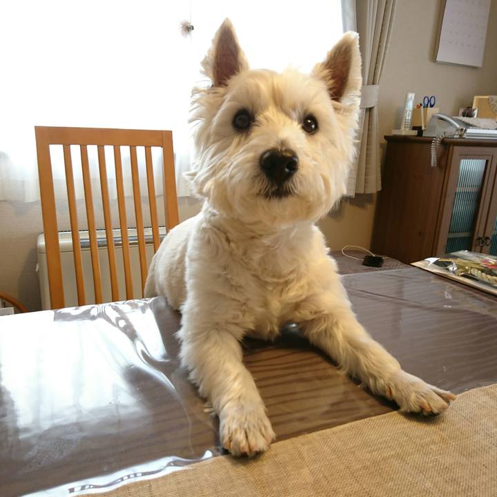 7bf0f44b bc4a 4b4c a96c 387fcfc340d7