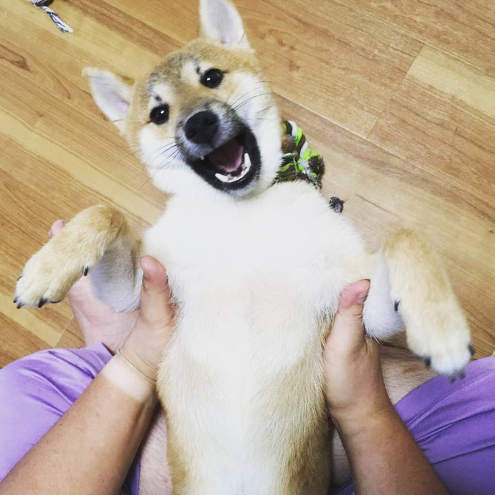 7bf1d13b 7184 4e68 90ae fba92211bf7d