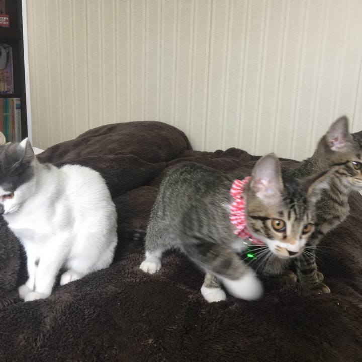 7bf23632 268d 4795 bd5e 96799026495c