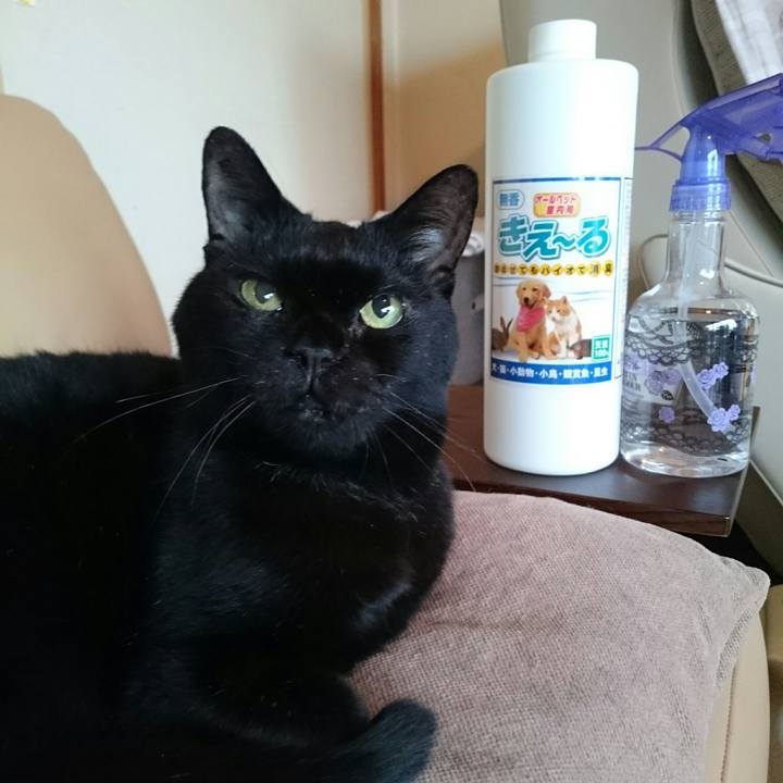 7bf2580f 3357 4fba a9fd 6e6fa6245716