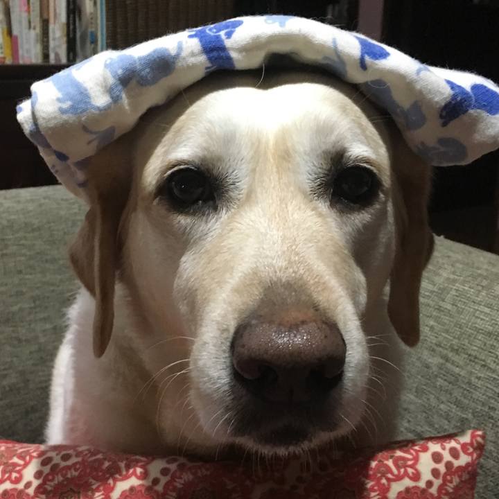 7bf28a43 9c6b 48b0 8ee5 d11cd7925af9