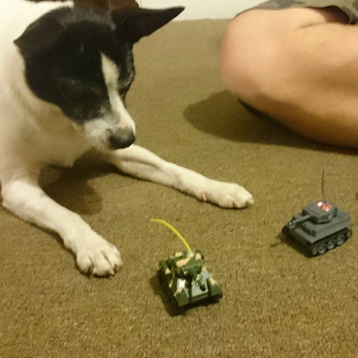 7bf2978f 2718 48f3 9cb0 be2c7e0c3856