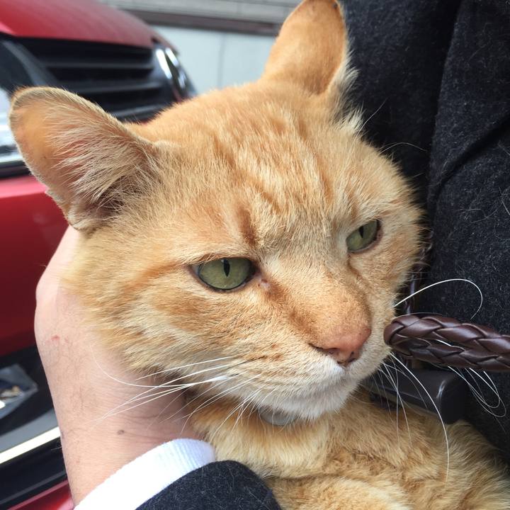 7bf2d8c4 5000 4d4e a63d a05ce3f38767