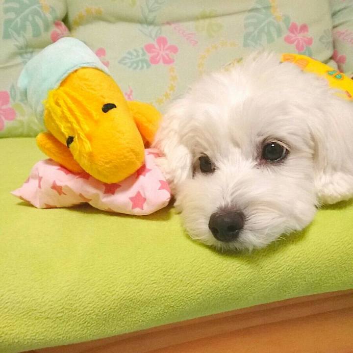 7bf2fa2b 6a90 4d4e 9a61 924c4e4af479