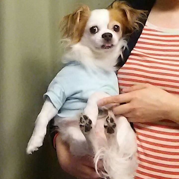 7bf3a7ee 7462 40e5 b163 357cea1f1f8a