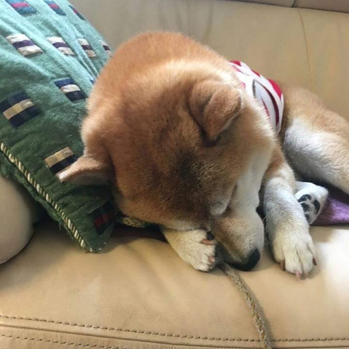 7bf3fb5c 091a 42da aec8 c5bd8d225b87