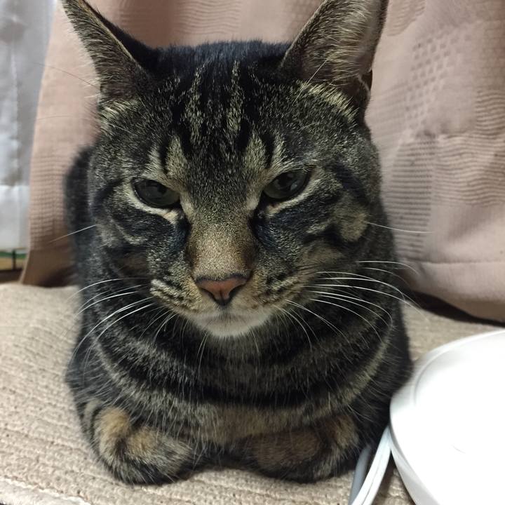 7bf4d224 5a32 423a 851c 15f9c38e0666