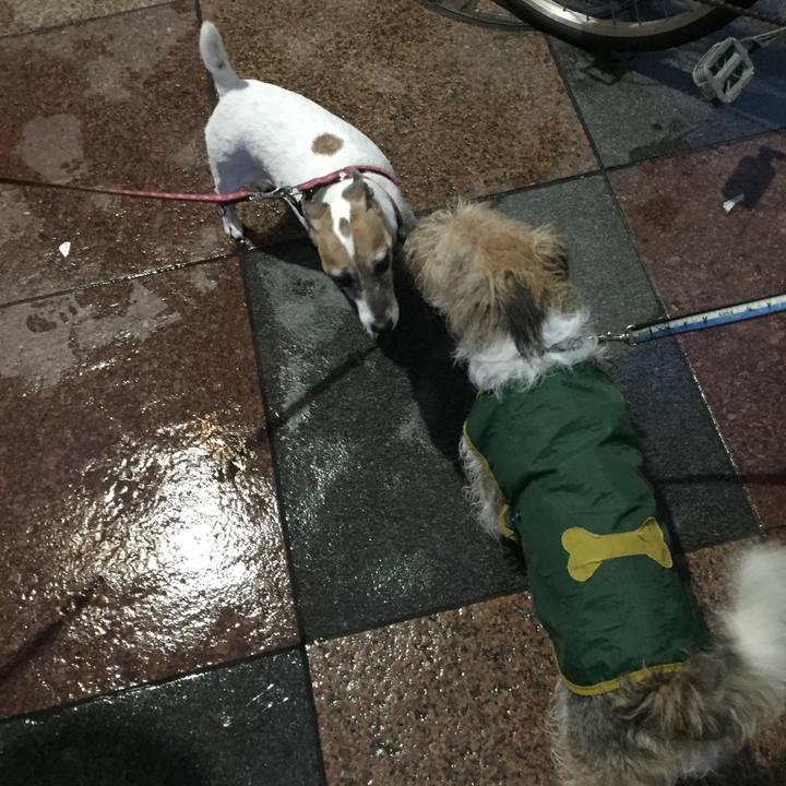 7bf4ec3f 0be5 4d98 b4d2 2d11de760a1a