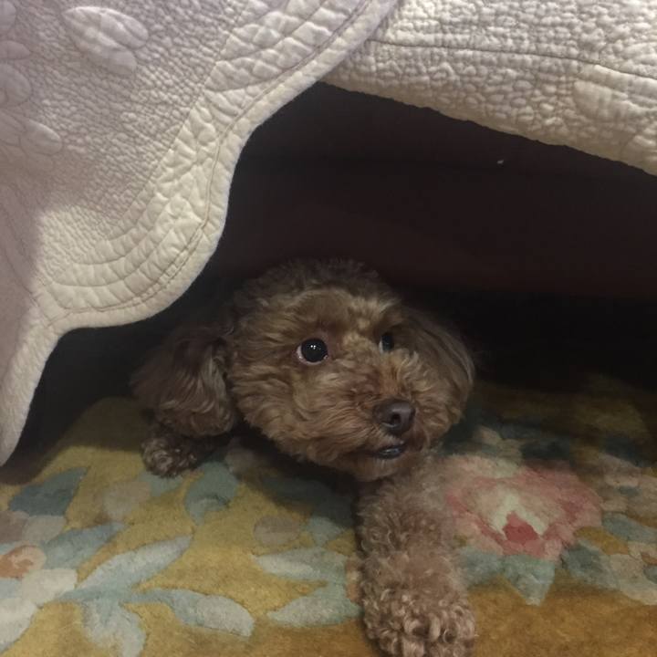 7bf5978c 7700 45e4 9224 5f0211cd11a3