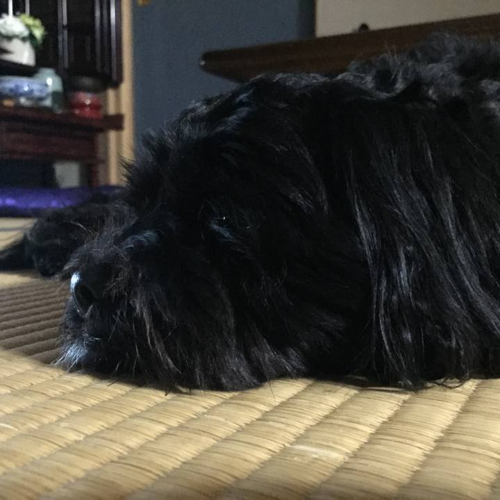 7bf6133f 60c3 45df 9454 031167dc4521