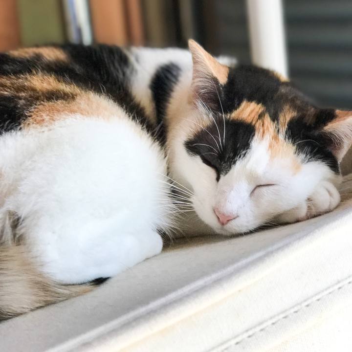 7bf66b9d 9ef0 44e4 93e8 e5836d3d276a