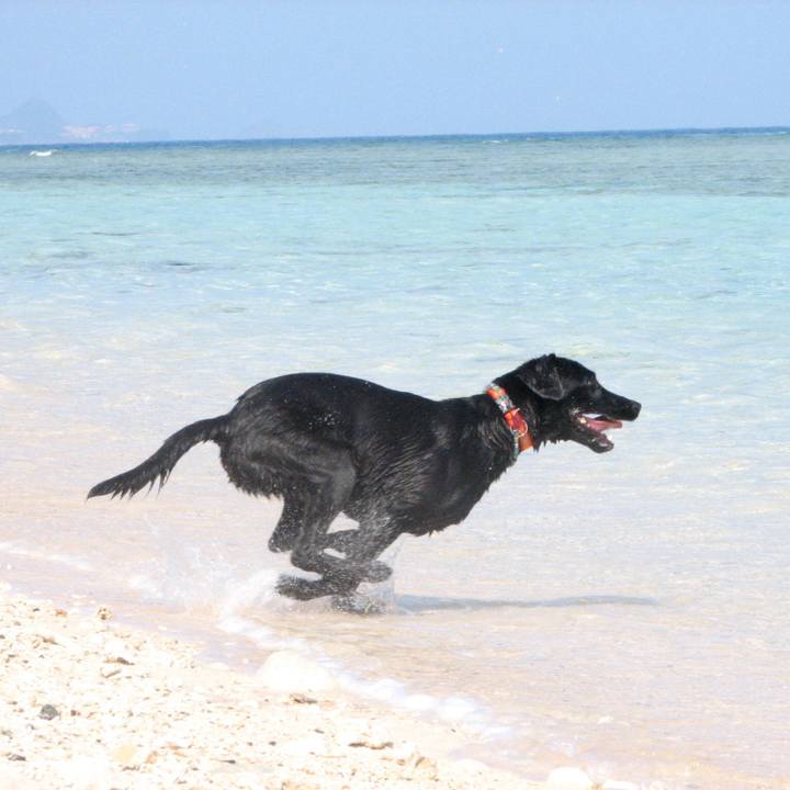 7bf79bdb b0e0 4a47 972e d146561df9f3