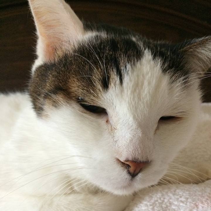 7bf81391 a558 48f1 89a0 ef81d393c053