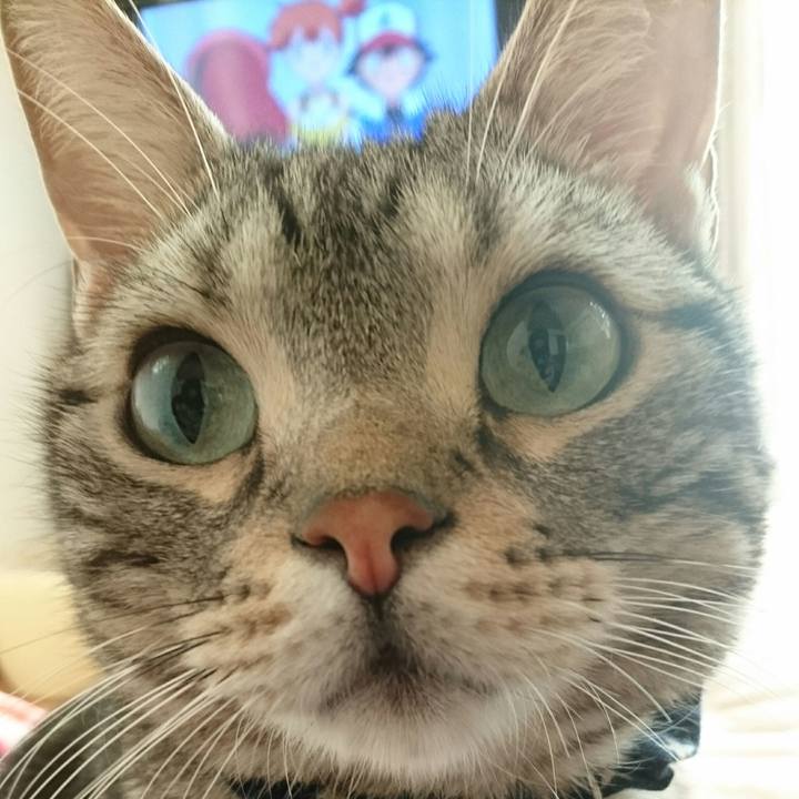 7bf85982 2e51 4f8b 98c3 90564895b073