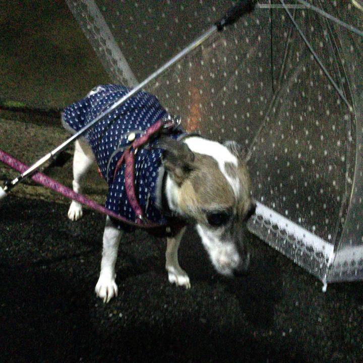 7bf86a98 567a 46fe bbf7 2af277606598