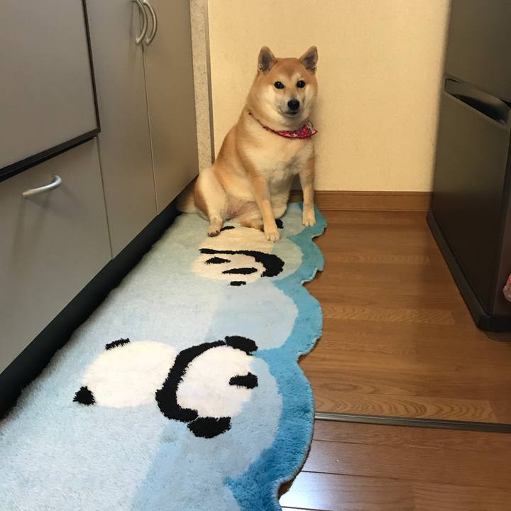 7bf872cc facf 42e9 96af 0a881af9f8a6