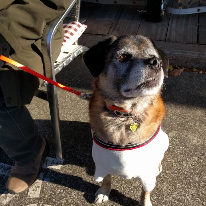 7bf94860 14dd 4db3 a376 b3061716eff8