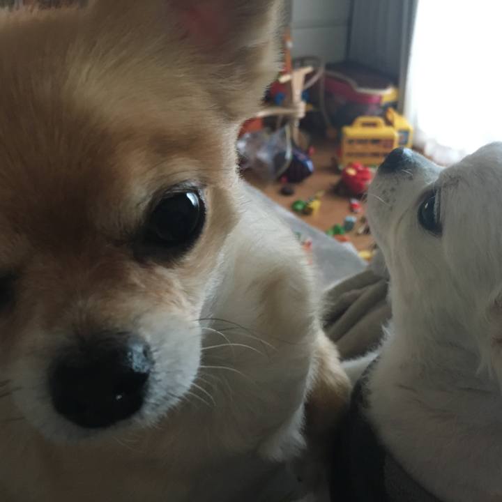 7bf9ea6f 8a6e 4358 9a0d ea755446b490