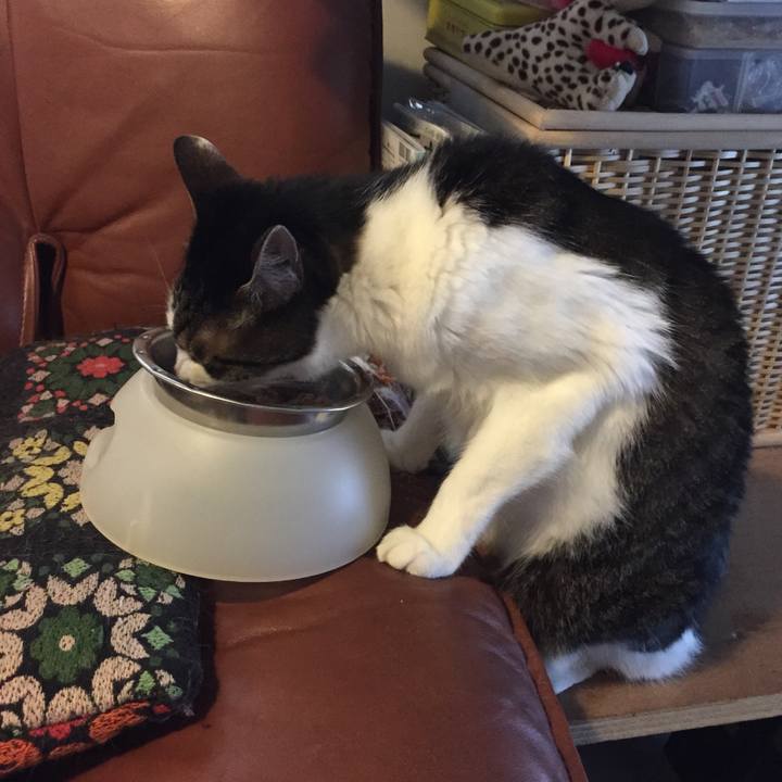 7bfa09ba 11ca 49b1 a830 5f7da8928ab1