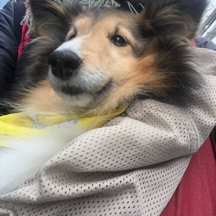 7bfb179c df15 46a0 8b81 4cc2c44bc688