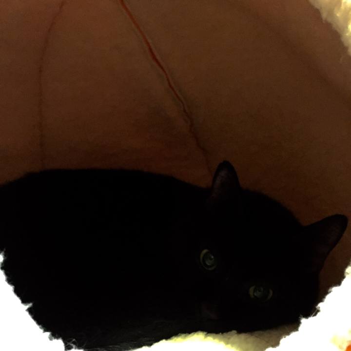 7bfb2b60 4e57 4260 8cf7 1838b4b4383c