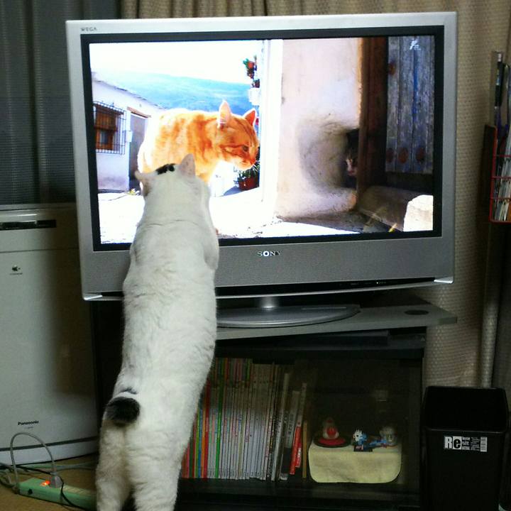 7bfb2f78 4c02 4a1a 8e95 46733d07835d