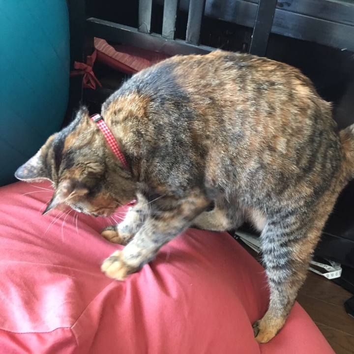 7bfbd016 e15e 4705 8ed9 533b58b63f43