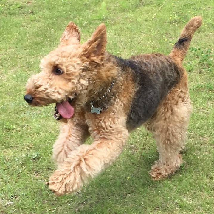 7bfc465f 9073 4bd5 b98d 1ad3b0fd1b25