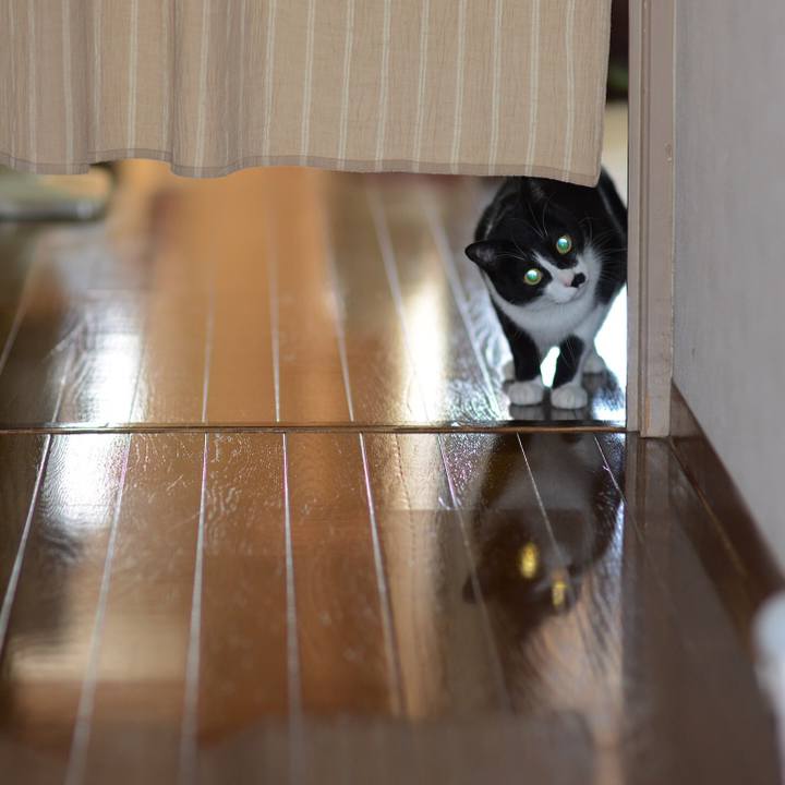 7bfc5b24 d8ec 4ab1 8b5f 60e38b7c9322