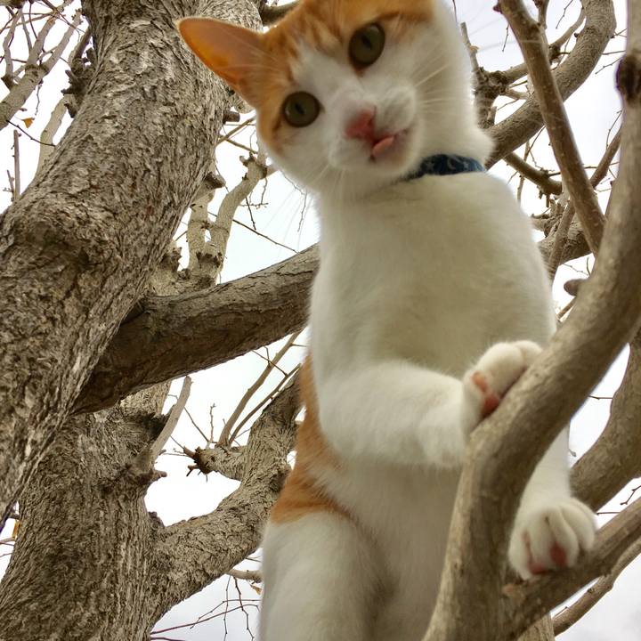 7bfc9469 f53b 4d73 89fb 94f2b8b44cfa